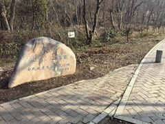 -青龙山国家森林公园
