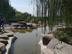 -天发芽·何记葫芦头泡馍·老字号(小南门店)