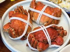 -品鲜村农家菜·阳澄湖大闸蟹(总店)