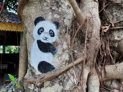 -西双版纳傣族园