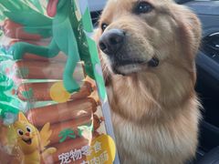 -它主义宠物(梁溪万达店)