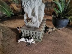 -马勒别墅·中餐厅