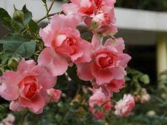 -人民公园(罗湖区)