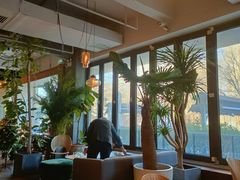 -the rug 飞毯 (朝阳公园店)