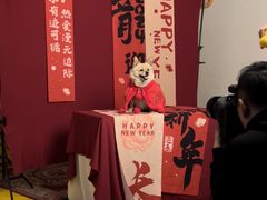 -超宠爱宠物摄影-Super pet