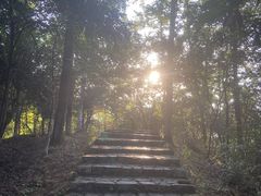 -云碧峰国家森林公园