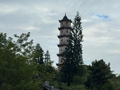 -江心屿景区