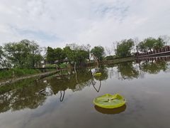 -长兴太湖图影湿地文化园