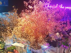 -木棉花开(中心城店)