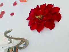 -梧桐