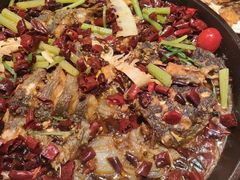 -老板恋上鱼(恒隆广场店)