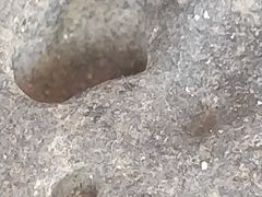-苏州海洋馆