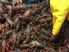 -青石桥市场北1-27号