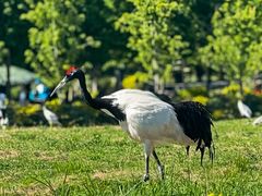 -沈阳森林动物园