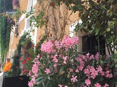 -布劳伽斯特豪夫哈尔施塔特宾馆