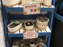 -向日葵十五度餐厅(昌平区店)