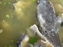 -青龙潭鱼庄