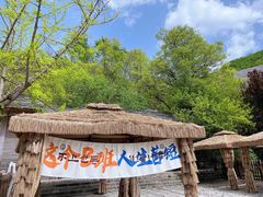 -牛背梁国家森林公园