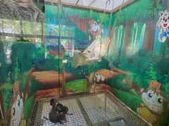 -常州淹城野生动物世界
