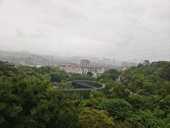 -福道