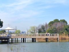 -新江湾城公园