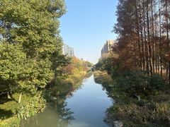 -杭州城北体育公园