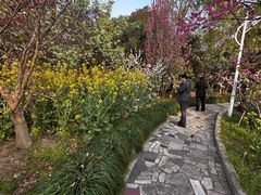 -南汇桃花村