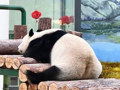 -天津市动物园