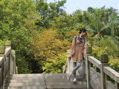 -广东茂名森林公园