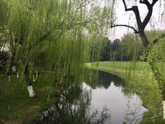 -柳浪闻莺公园