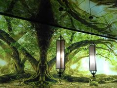 -大榕树下顺德菜(融创茂店)