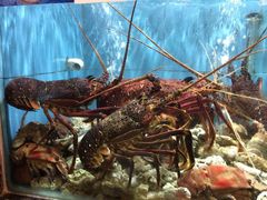 -顺风山庄(水濂山店)