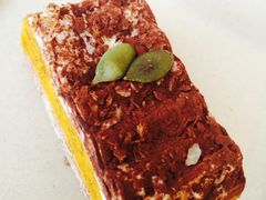 -日本科学未来馆
