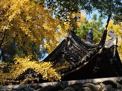 -惠山古镇·寄畅园