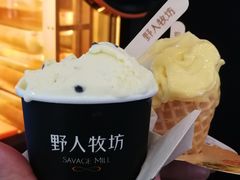 -野人先生现做冰淇淋(北京顺义祥云小镇店)