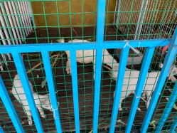 -小蜜蜂农场(凯德七宝购物广场店)