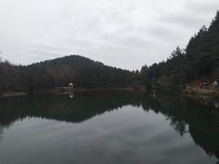 -四明山国家森林公园