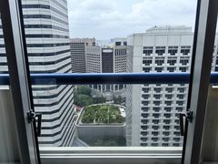 -新加坡瑞士史丹福酒店