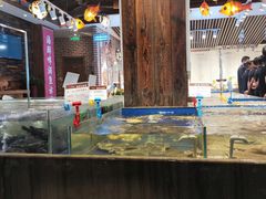 -船歌·鱼水饺青岛菜(闽江二路店)