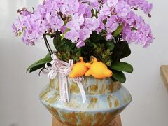 -F.Story 花和故事(新天地店)