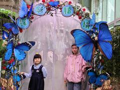 -正佳雨林生态植物园