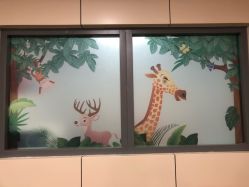 -上海交通大学医学院附属上海儿童医学中心(陆家嘴总院区)