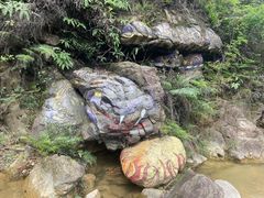 -南海湾森林生态园