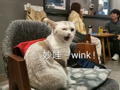 -咖法森林·咖啡  酒吧(天河店)