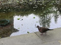 -四川大学(华西校区)