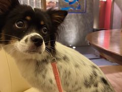 -何氏海产海鲜餐厅(体育中心店)