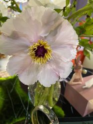 -花隐·美芙炫海菲秀皮肤管理中心