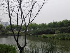 -尚贤河湿地