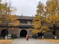 -灵谷景区