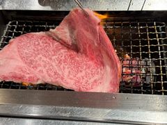-俺的焼肉(銀座9丁目店)